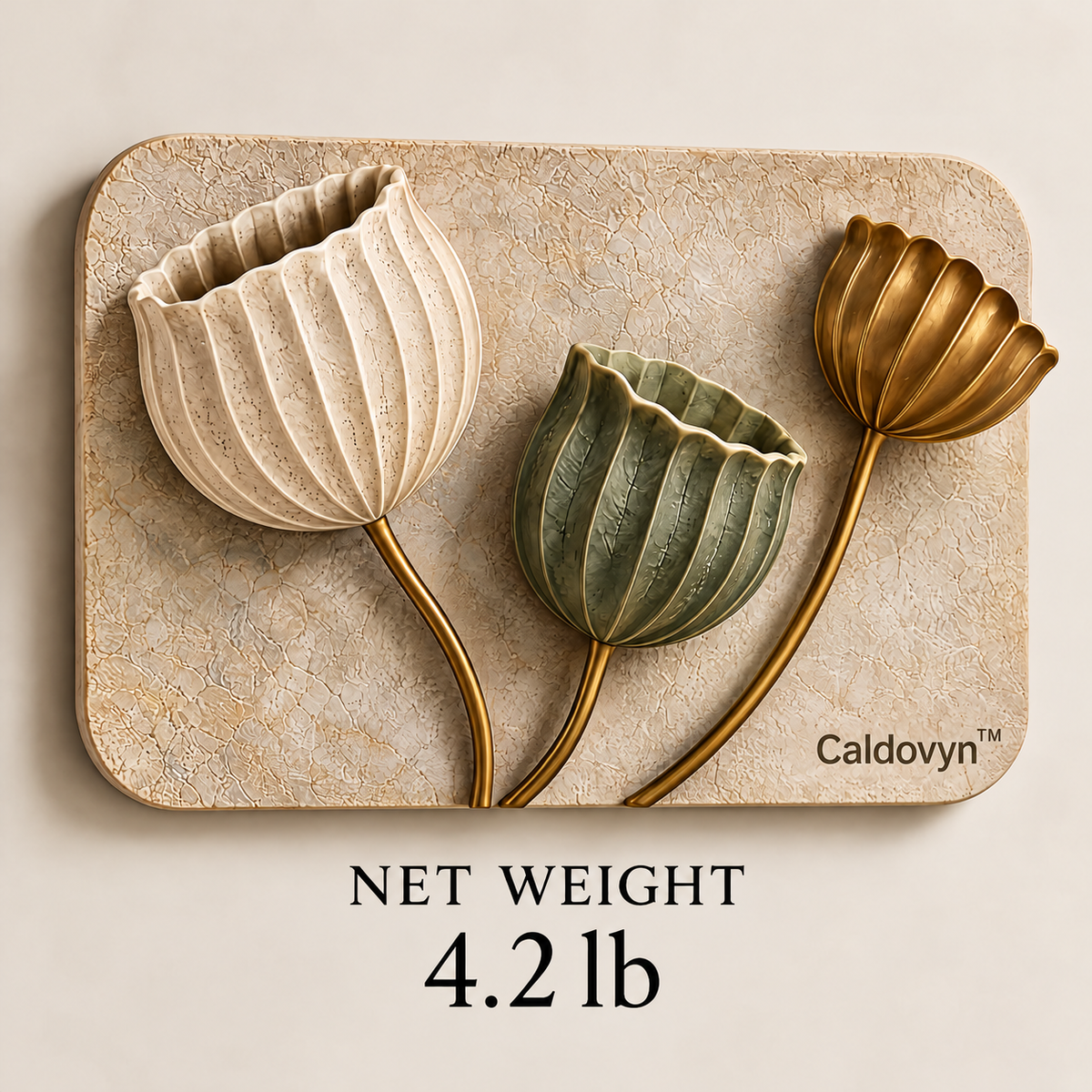 Caldovyn™ Sunlit Seedpod – Sculptural Botanical Pod Wall Art